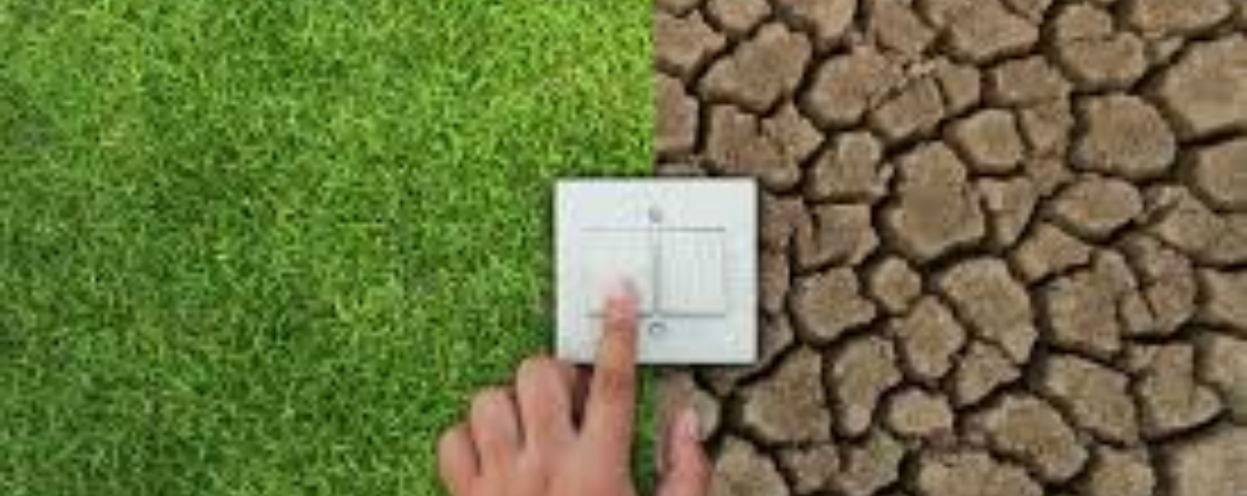 India: Meeting Energy Needs for Development While Addressing Climate Change