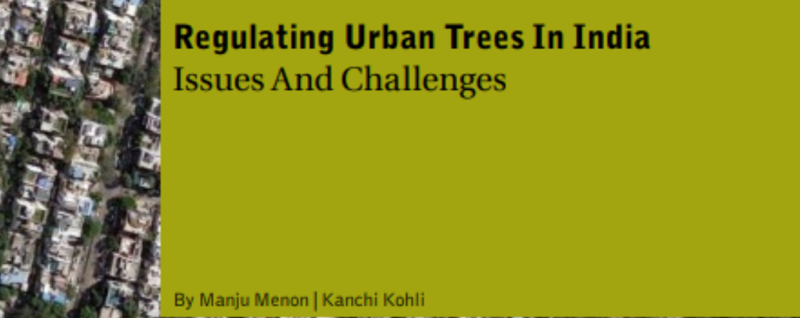 Regulating Urban Trees in India: Issues and Challenges